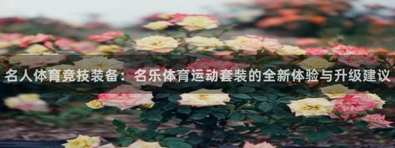 谈球吧体育：名人体育竞技装备：名乐体育运动套装的全新体验与升级建议