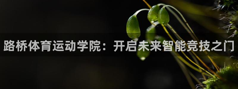 谈球吧：路桥体育运动学院：开启未来智能竞技之门