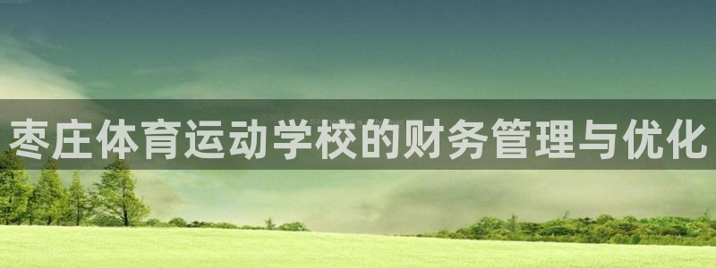 谈球吧：枣庄体育运动学校的财务管理与优化